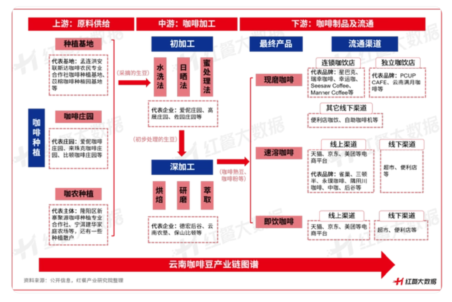 《云南咖啡豆产业发展报告2023》：蛰伏百年，民族咖啡豆崛起在望