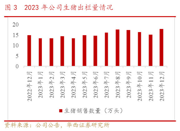 2024生猪养殖行业报告：成本下降与高周转模式分析