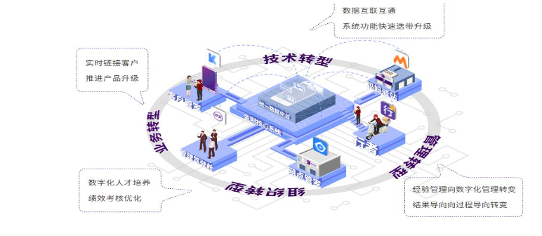 2024电商快递行业数字化转型与市场增长分析