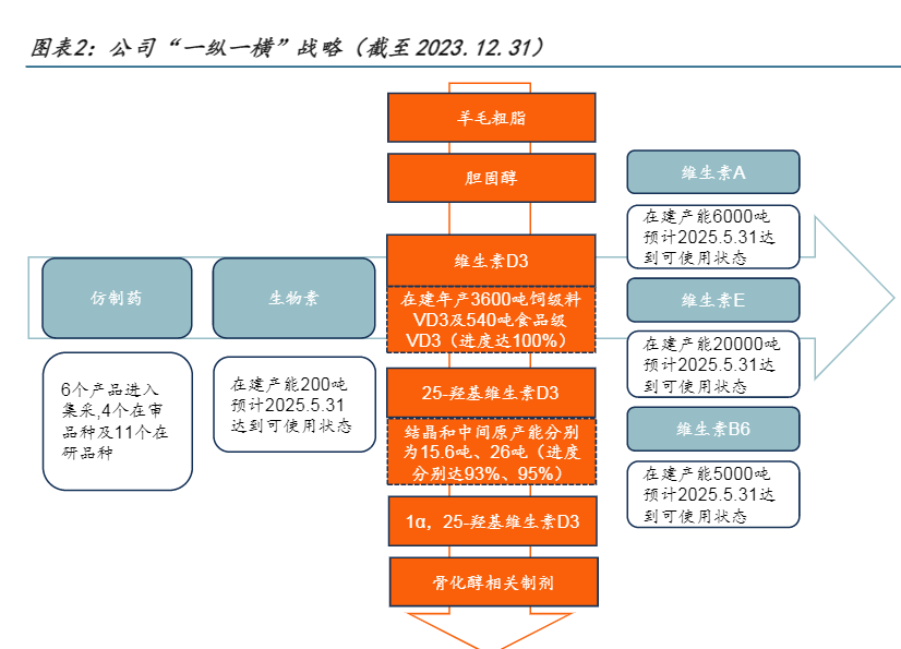 2024年维生素D3市场投资策略分析报告