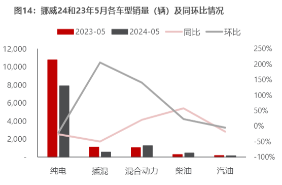 2024年5月欧洲新能源汽车市场分析报告