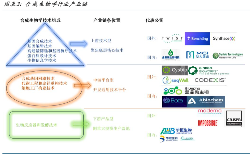 2024合成生物学行业报告