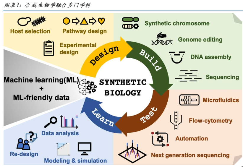 2024合成生物学行业报告