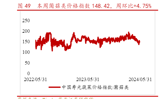 2024年农林牧渔行业市场趋势分析报告