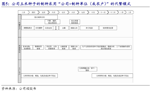 2024年种业报告：秋乐种业增长策略与市场前景分析