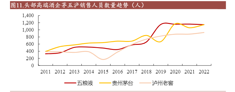 2024年五粮液深度分析与市场前景预测报告