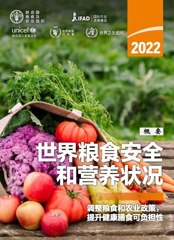 【联合国】2022年世界粮食安全和营养状况–中文版