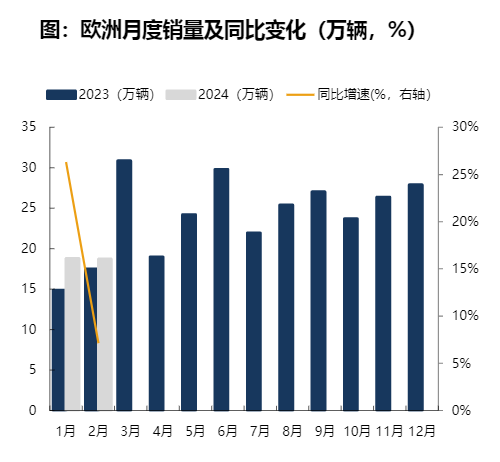 2024年电动车行业财务分析报告