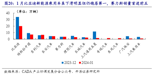 2024乘用车行业报告：比亚迪引领降价潮与智能化升级