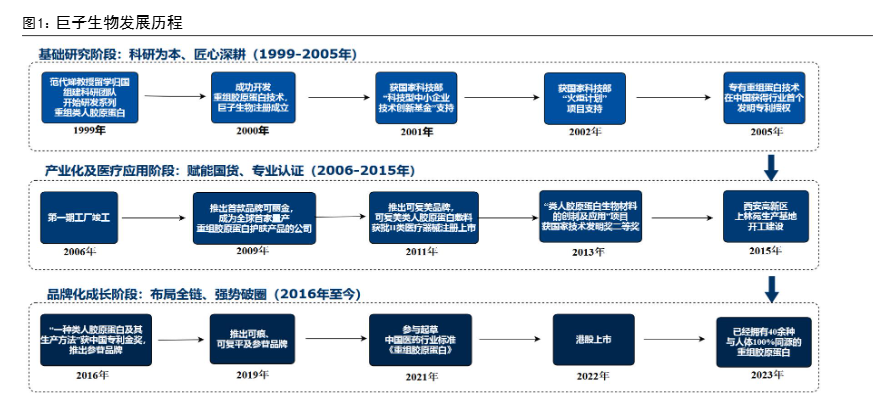 2024年胶原蛋白行业市场分析与前景预测报告