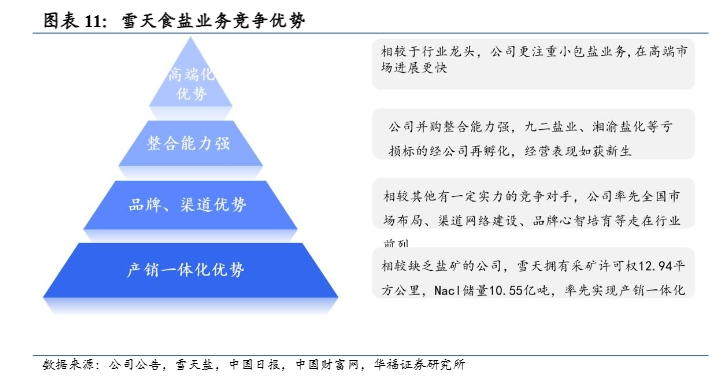 2024年雪天盐业发展战略与市场前景分析