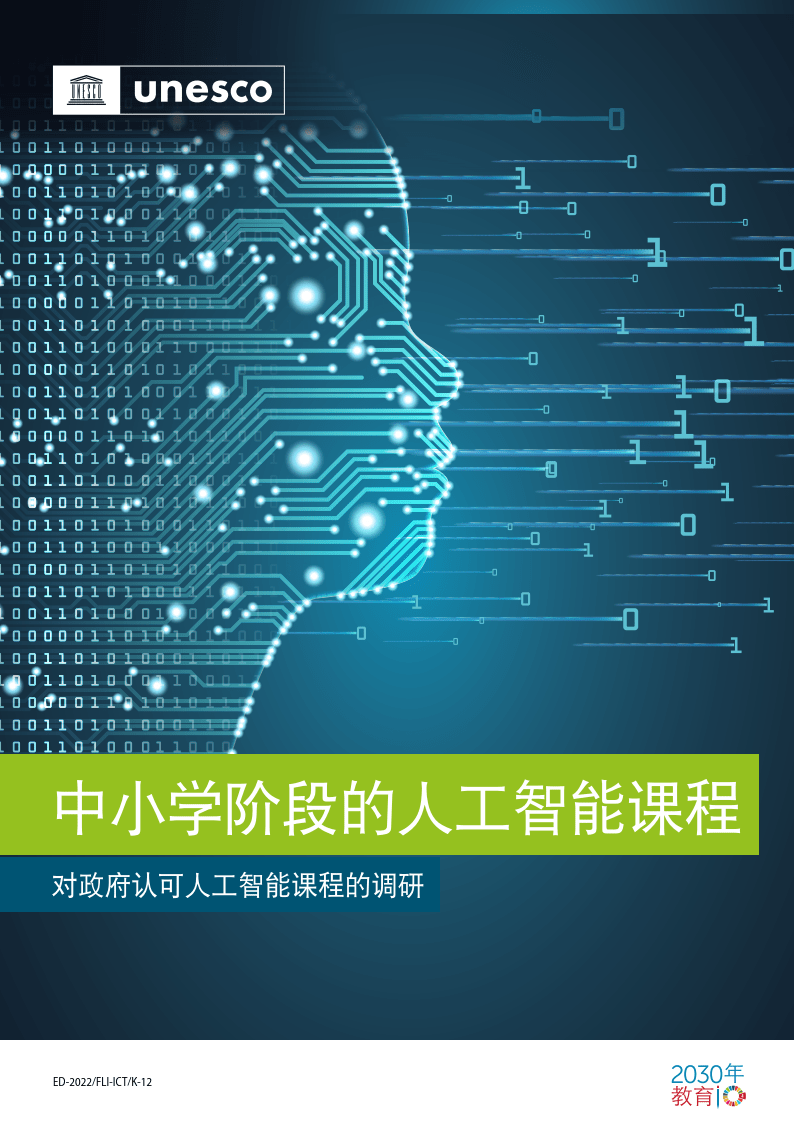 【联合国】人工智能行业对政府认可人工智能课程的调研：中小学阶段的人工智能课程