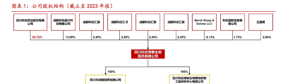 2024年科伦博泰生物ADC药物市场分析报告