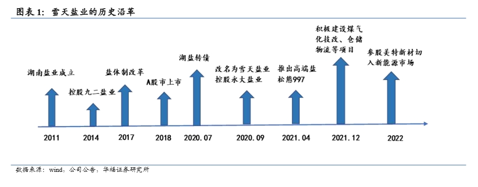 2024年雪天盐业发展战略与市场前景分析