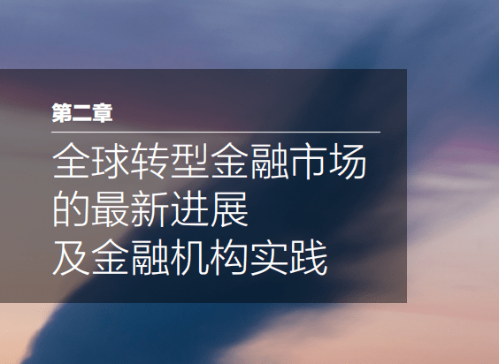 【自然资源保护协会】2023转型金融支持煤电行业低碳转型的机制研究报告（第二期）