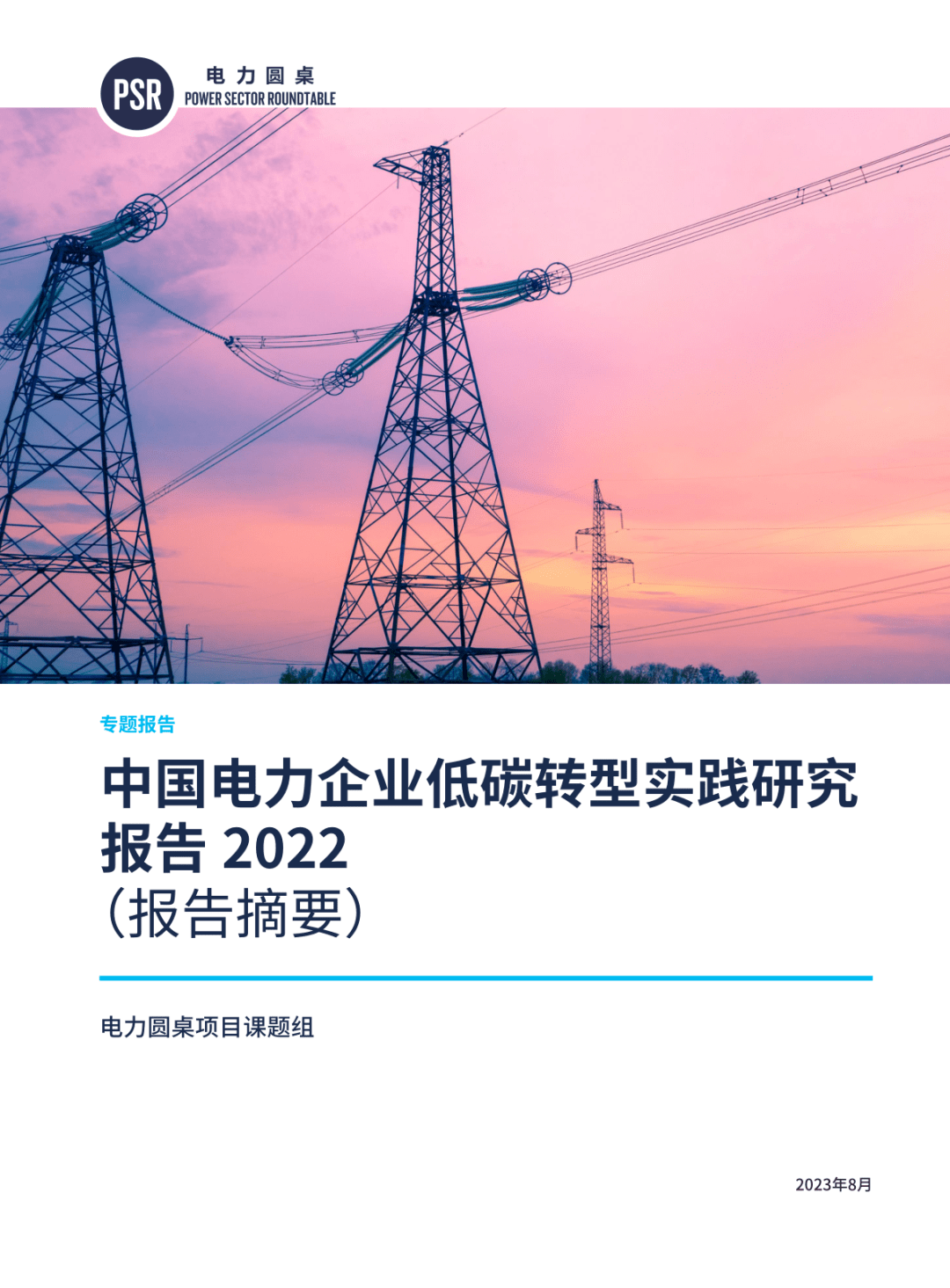 【中电联电力发展研究院】中国电力企业低碳转型实践研究报告2022