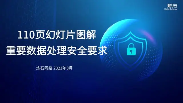 【炼石网络】110页幻灯片图解重要数据处理安全要求V1.0.0