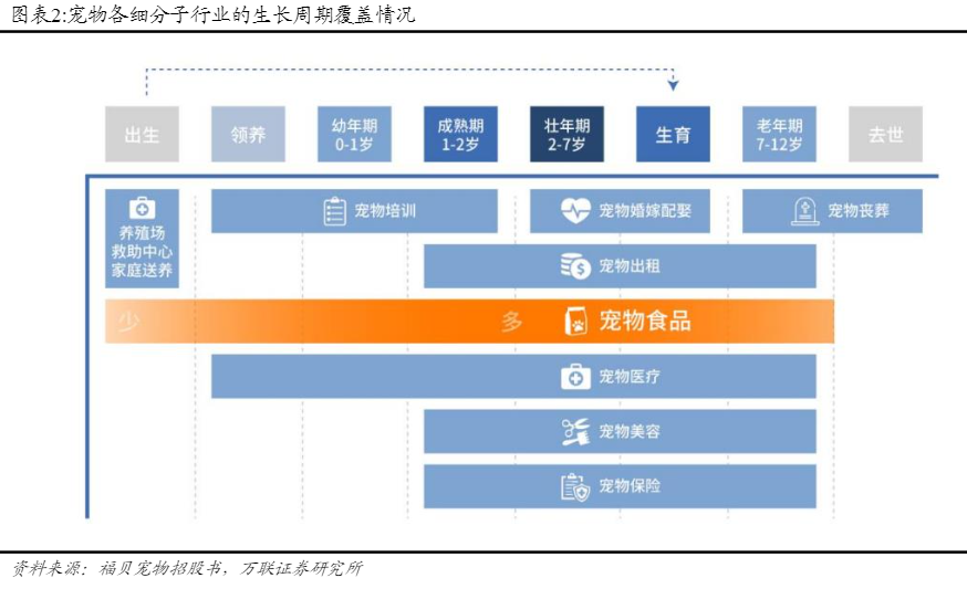 2024宠物行业报告：市场细分与本土品牌崛起