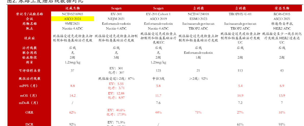 2024创新药行业报告：国产ADC与创新双抗研究进展