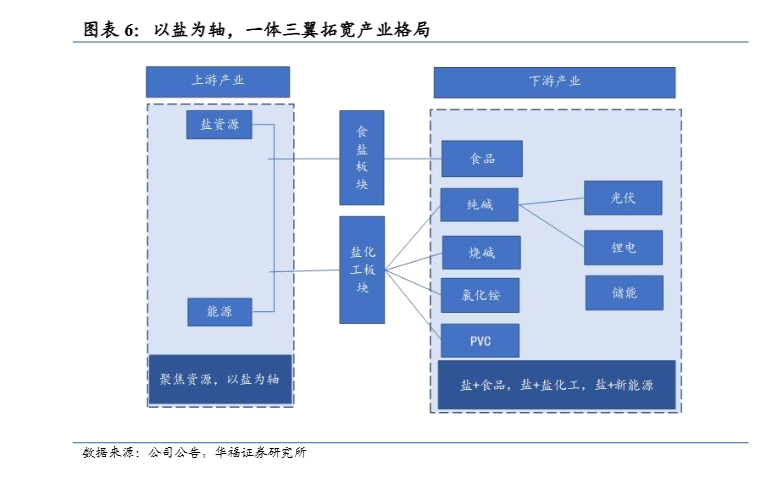 2024年雪天盐业发展战略与市场前景分析