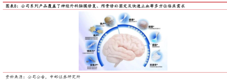 2024年迈普医学深度分析：产品升级与市场增长前景