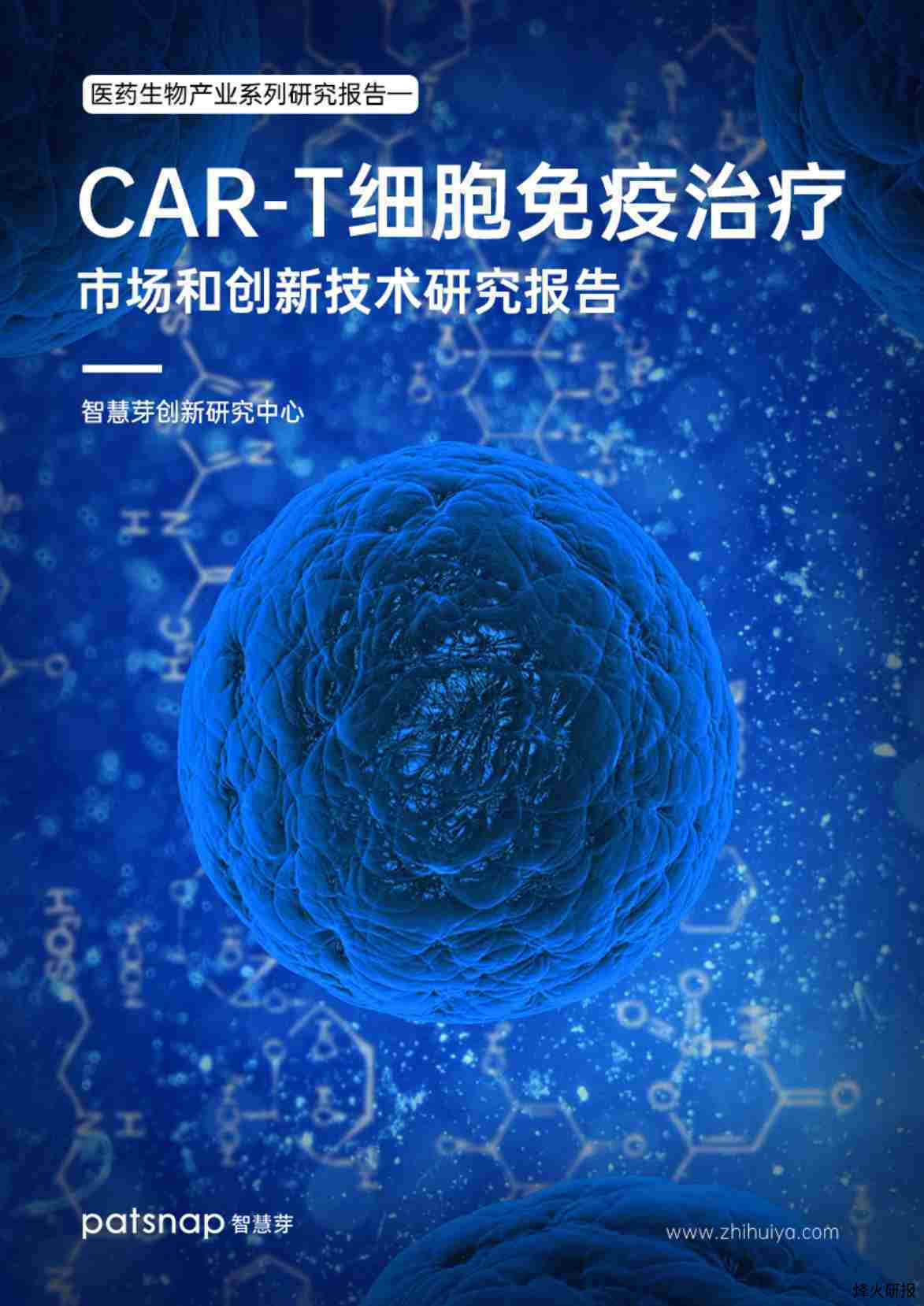 【智慧芽】医药生物产业系列：CAR-T细胞免疫治疗市场和创新技术研究报告