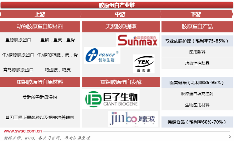 2024医美行业报告：胶原蛋白市场增长与应用前景分析