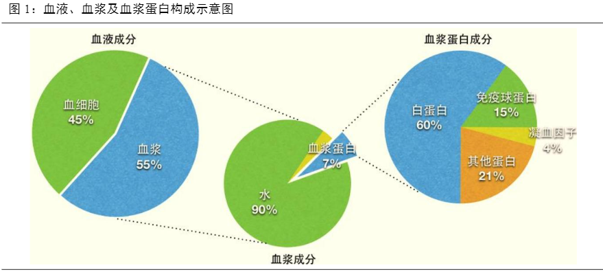 2024血液制品行业报告：市场扩容与产品创新双驱动