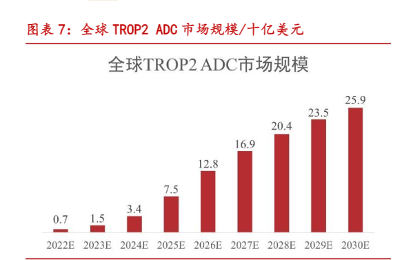 2024年科伦博泰生物ADC药物市场分析报告