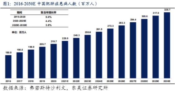 2024医药生物行业报告：GLP1产业链与长期投资价值分析