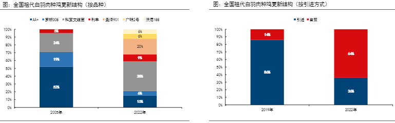 2024年白羽肉鸡行业投资分析报告