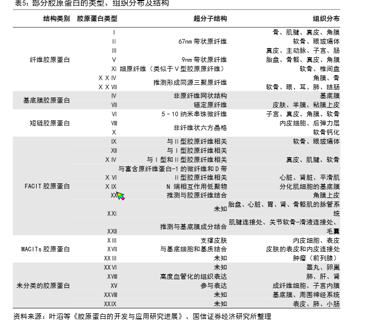 2024年胶原蛋白行业市场分析与前景预测报告