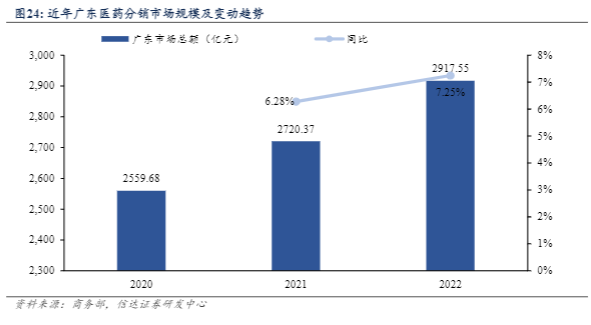 2024医药行业分析报告：增长与挑战