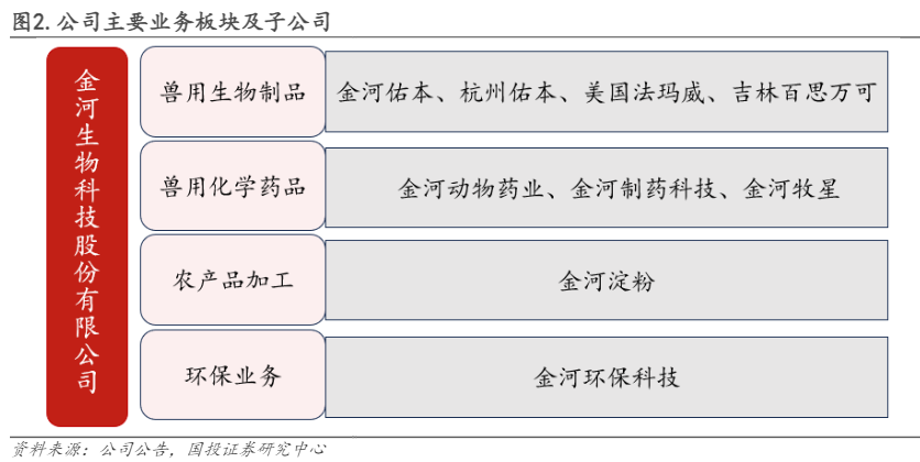 2024金河生物行业报告：金霉素龙头稳健，疫苗业务增长