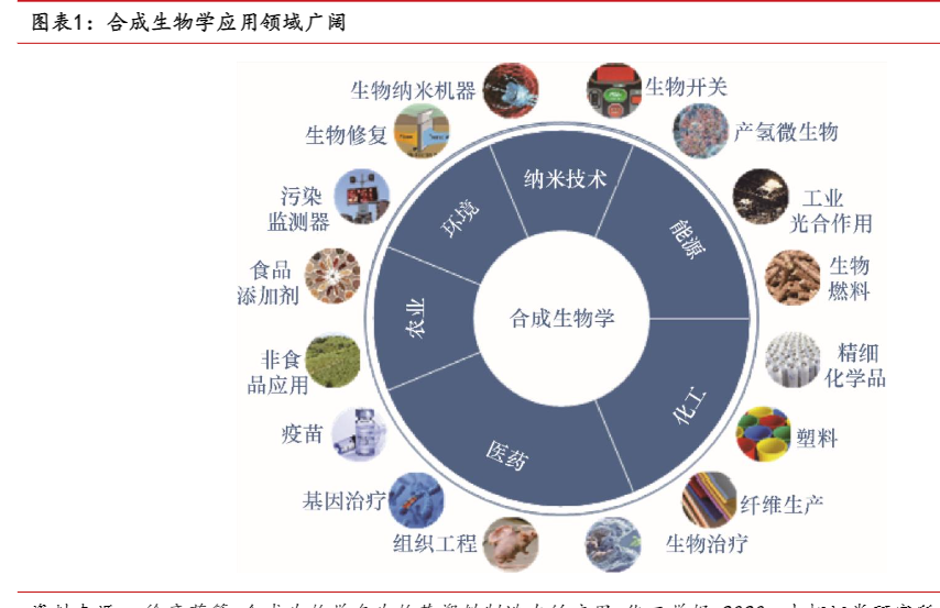 2024合成生物学：高速成长的医疗健康应用市场