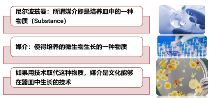 2024传媒行业报告：IP驱动文化符号与商业新趋势