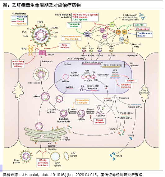2024乙肝治疗药物市场前景分析报告